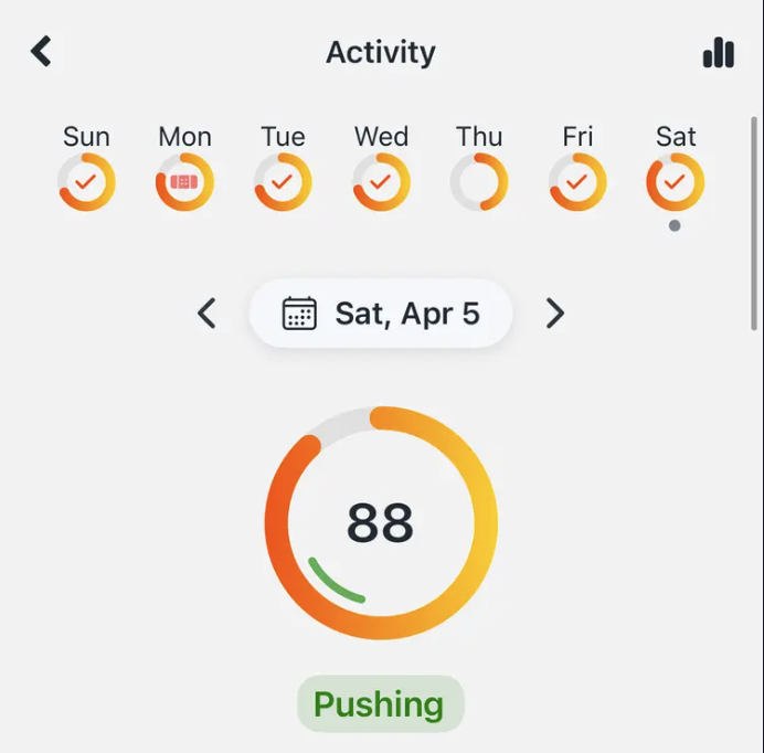 Featured image for The Zolt Activity Score